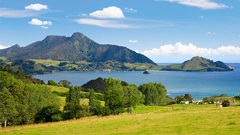 Northern North Island landscape