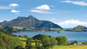 Northern North Island landscape
